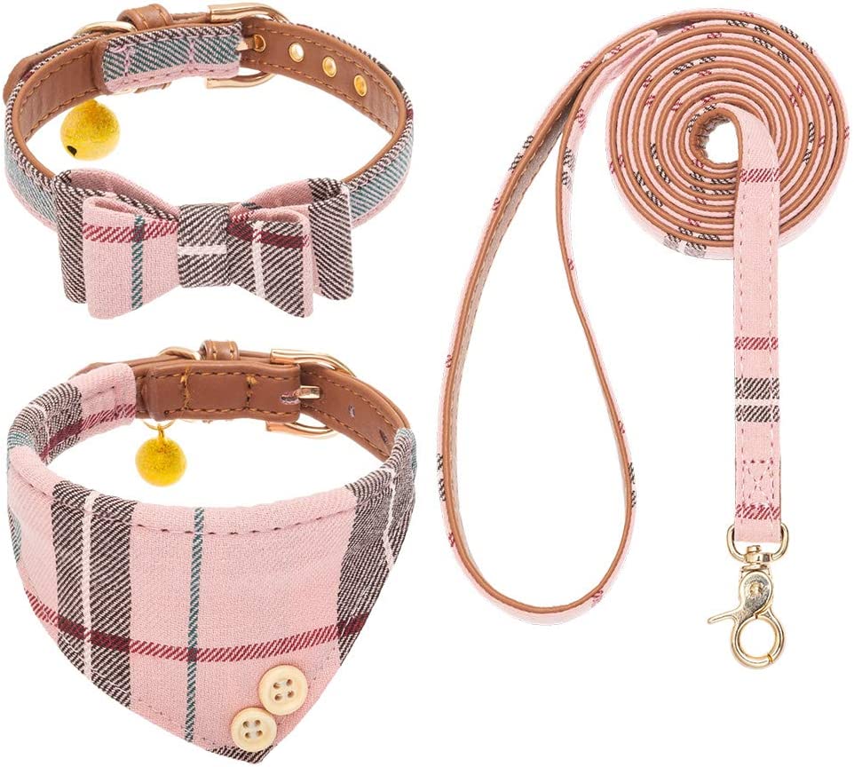 EXPAWLORER Dog Collar and Leash Set SMALL-MED